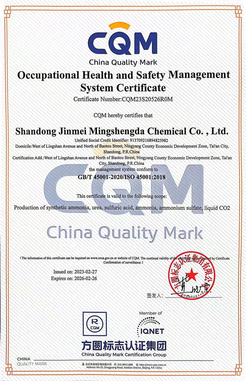 职业健康管理体系英文