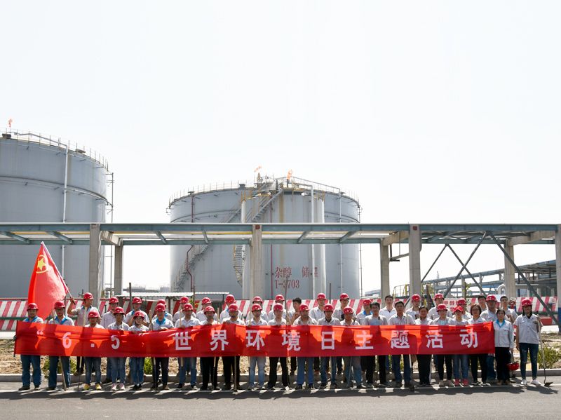 世界环境日主题活动